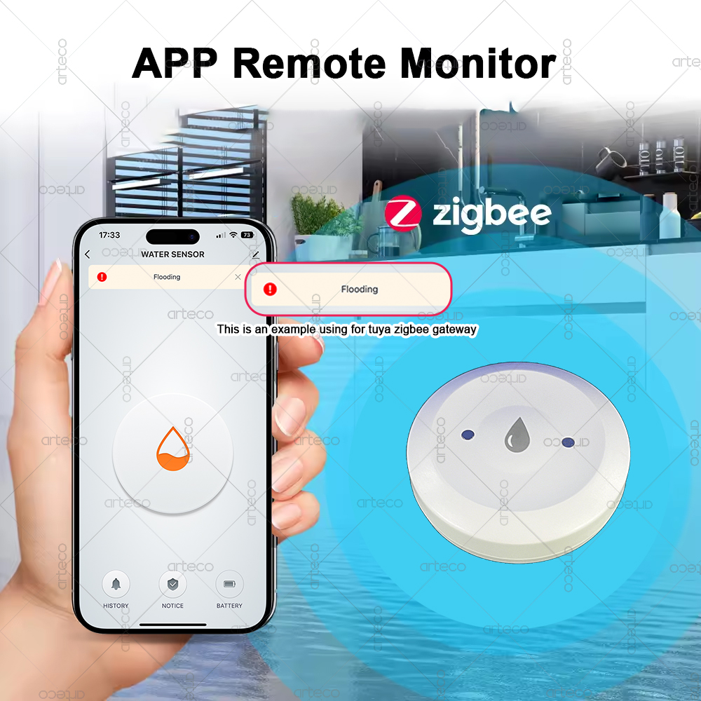 Smart Zigbee Water Sensor Floo - đánh giá và giá Smart Home Zigbee Gateway