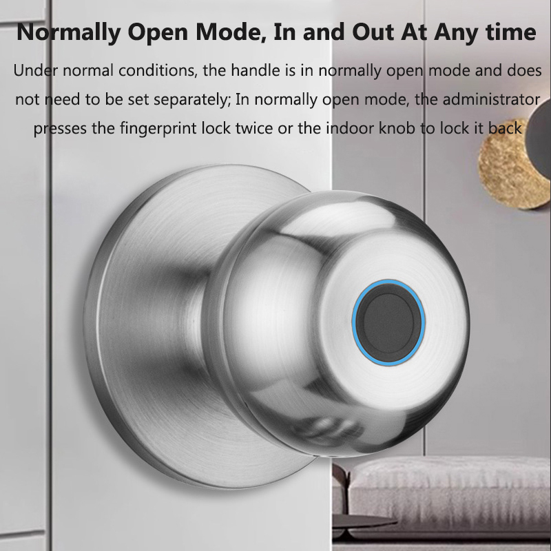 Tuya Door Lock Smart Fingerpri - đánh giá và giá Smart Home Door Lock