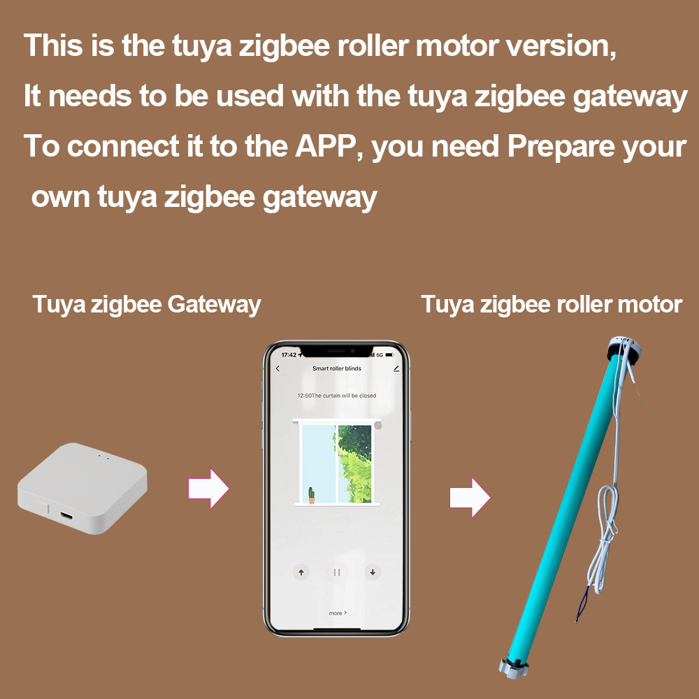 2N AC100-240V Tuya Zigbee Smar - đánh giá và giá Smart Home Youtube