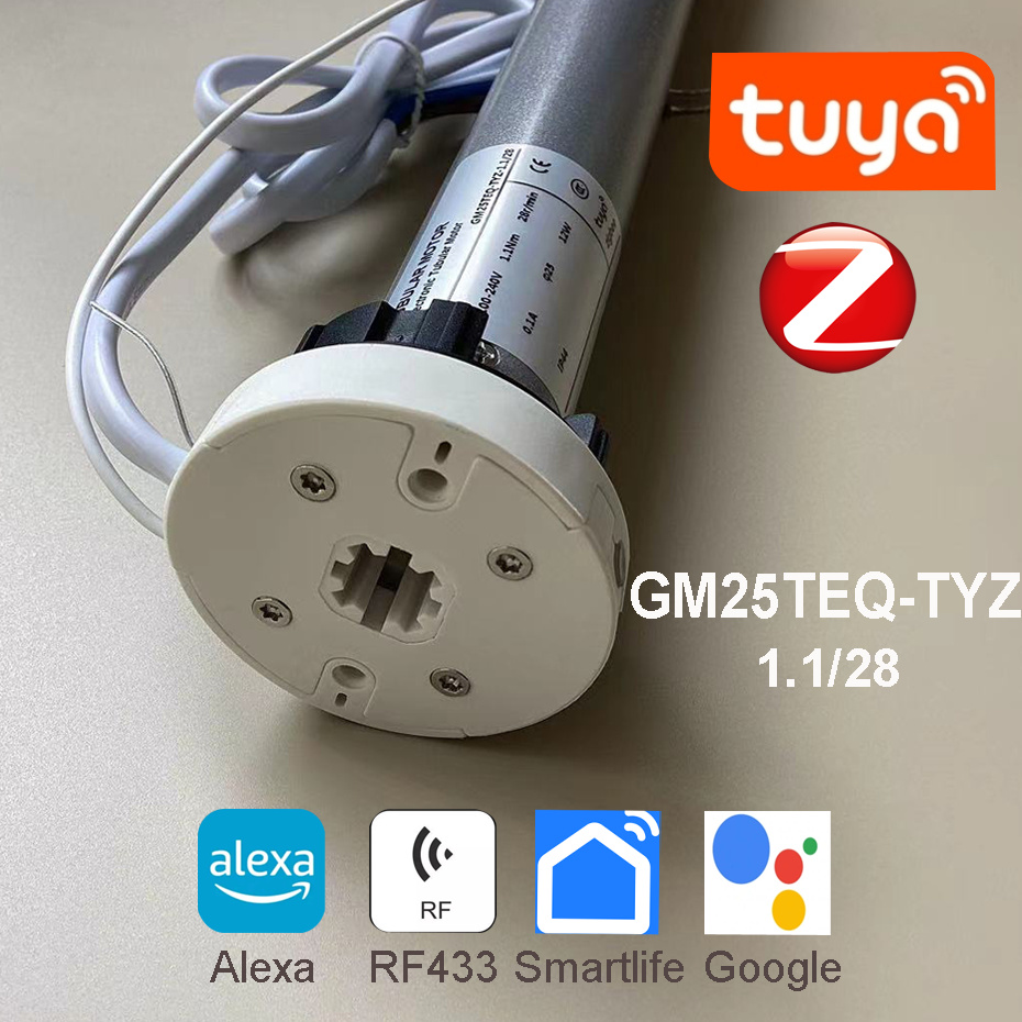 Tuya Zigbee GM25TEQ 1.1N Smart - đánh giá và giá Smart Home Youtube