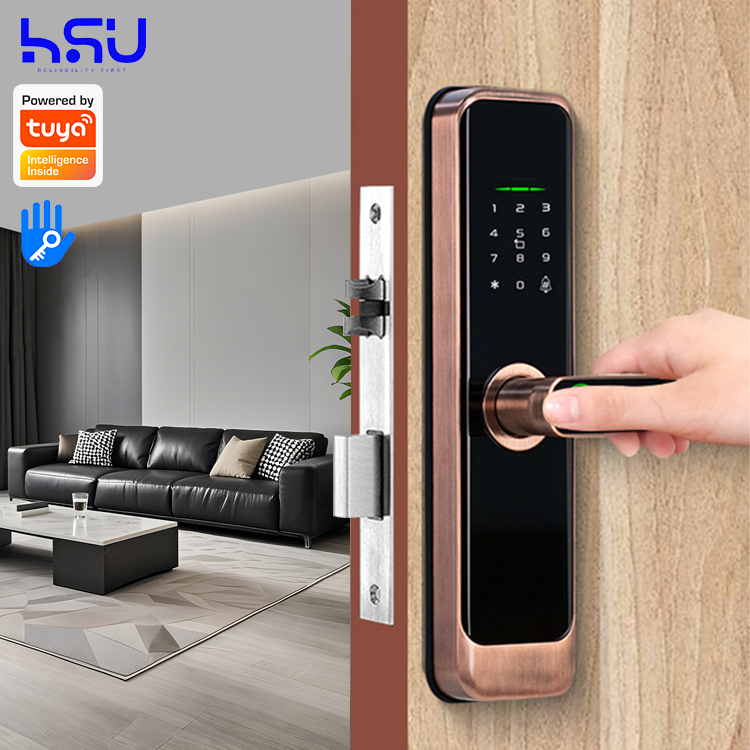 Digital Smart Doorlock Passcod - đánh giá và giá Smart Home Door Lock
