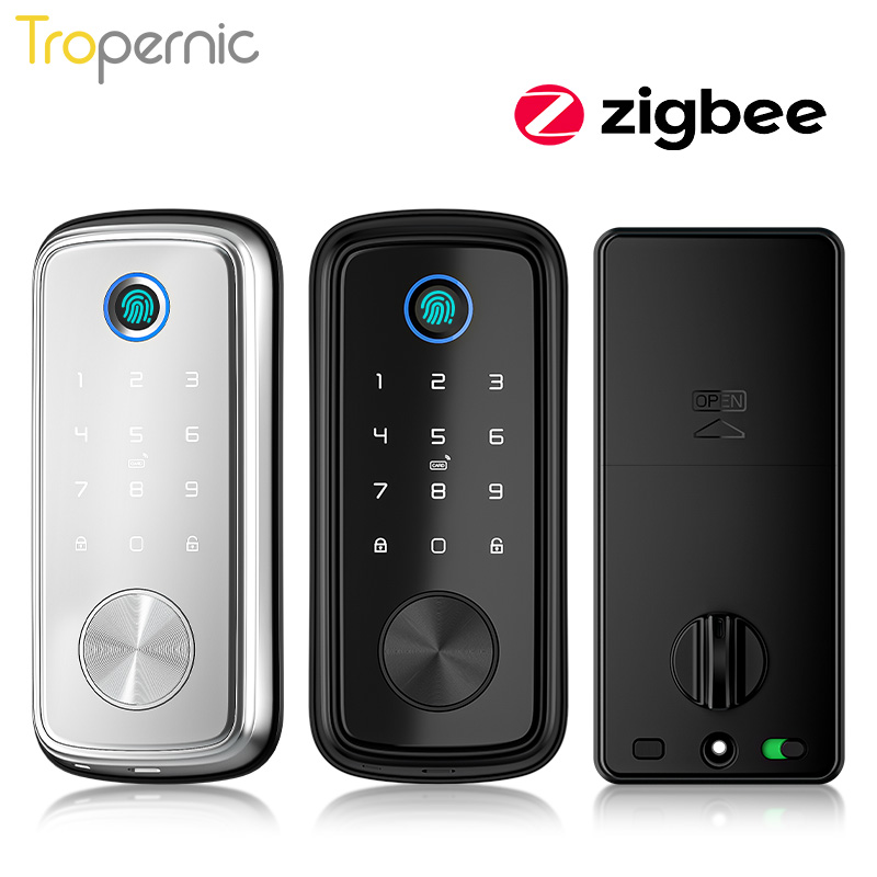 Tuya Zigbee Door Deadbolt Lock - đánh giá và giá Smart Home Door Lock